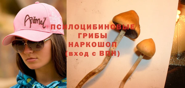 кокаин премиум Алексеевка