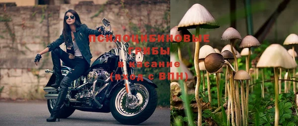 каннабис Армянск